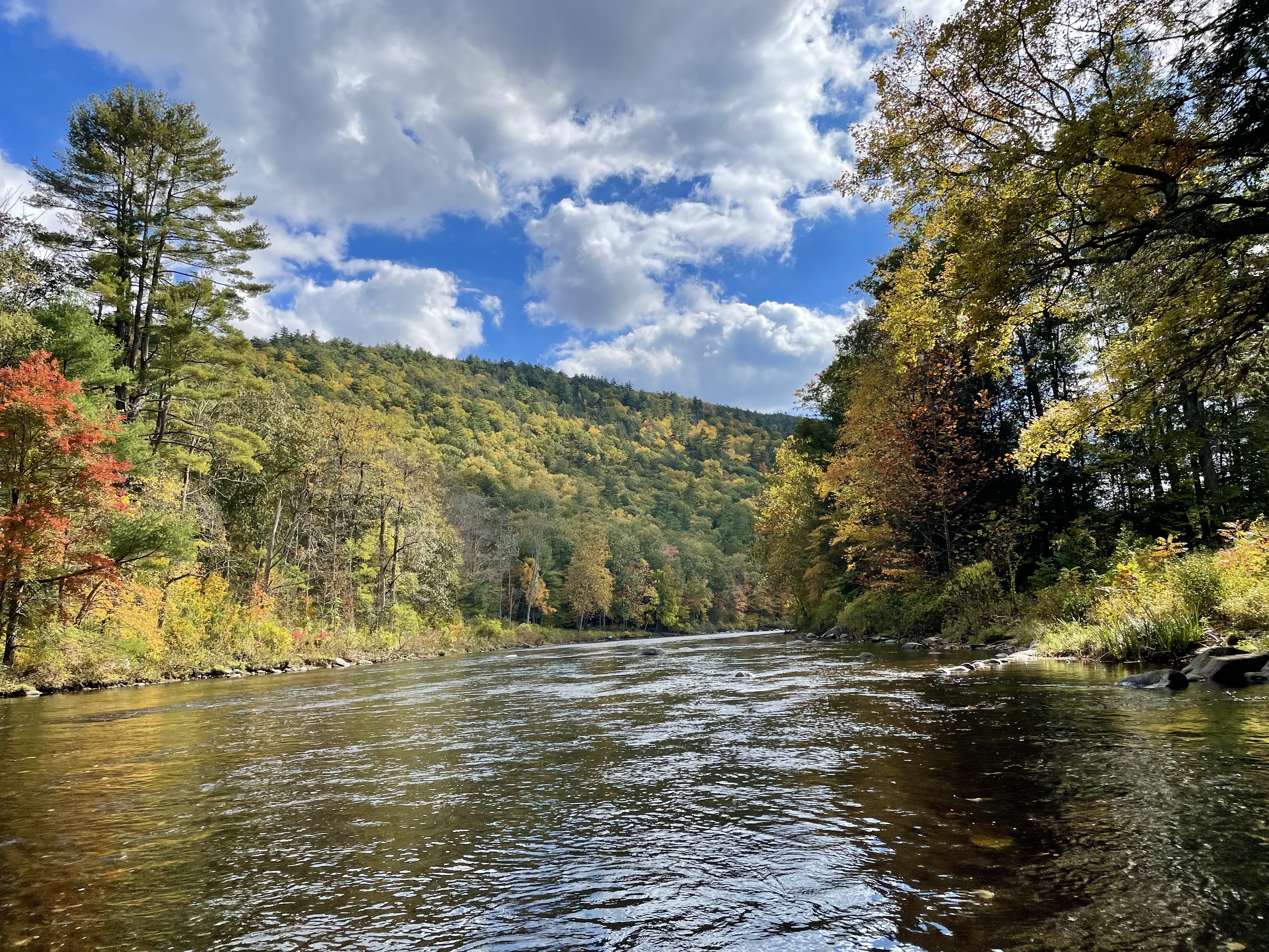 Farmington River | Farmington River Watershed