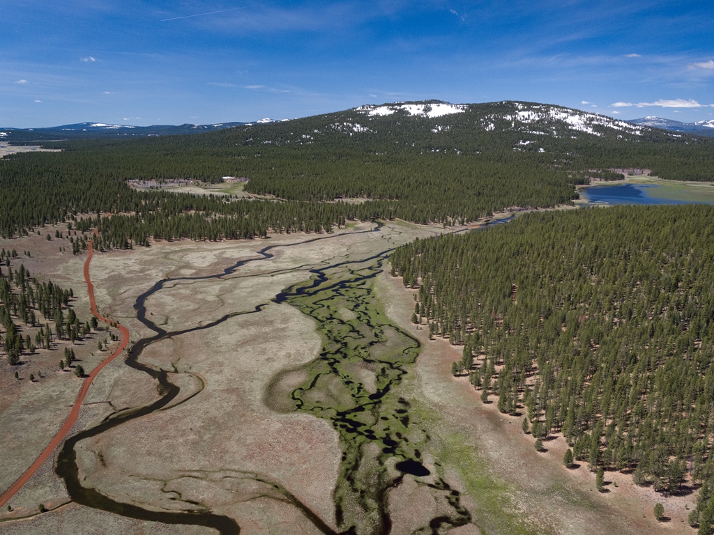 PreRestoration Confluence