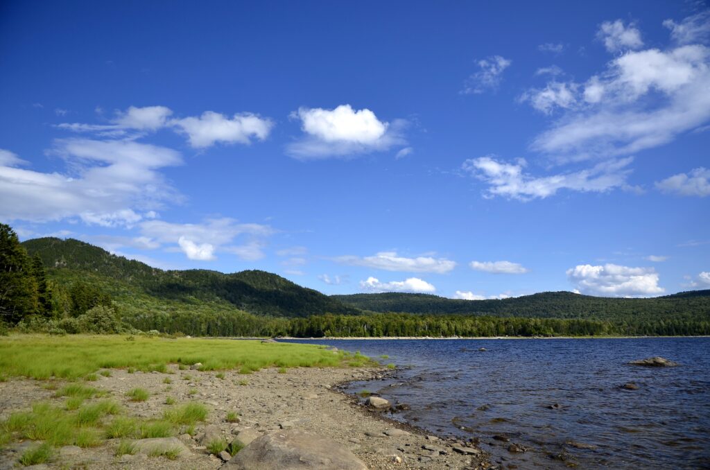 Shoreline of Aziscohos Reservoir, Maine | Kevin D., Flickr