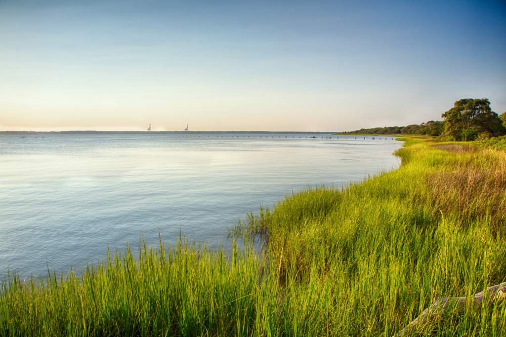 Cape Fear River | Gary Tog