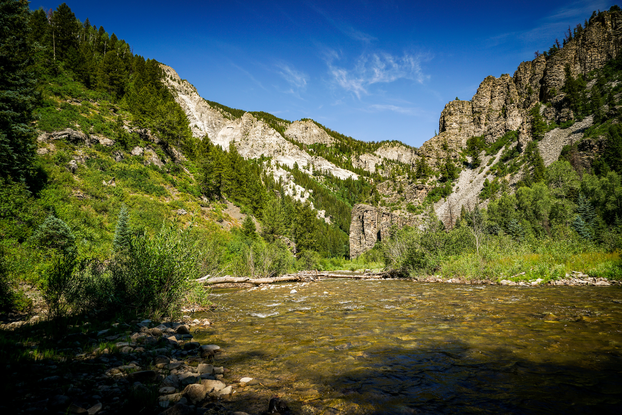 Anthracite Creek, Colorado | Sinjin Eberle