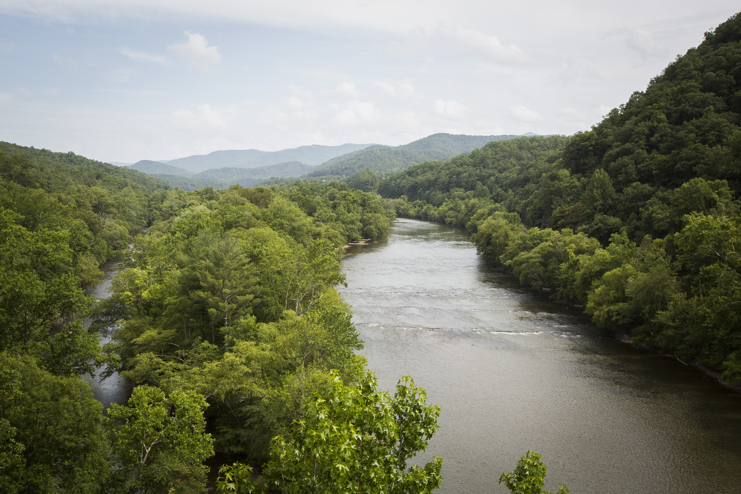 French Broad River, North Carolina | Jeff Rich