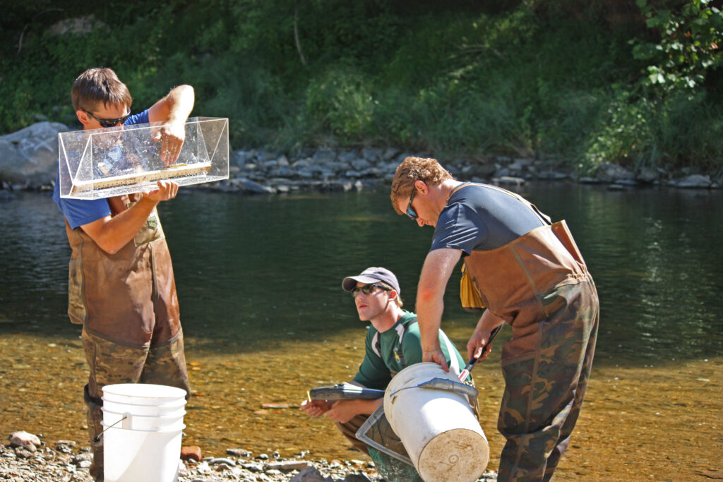 Species collection along the Patapsco River, MD | Jessie Thomas-Blate