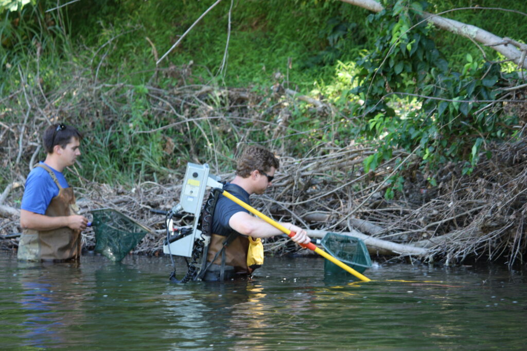 Species collection along the Patapsco River, MD | Jessie Thomas-Blate