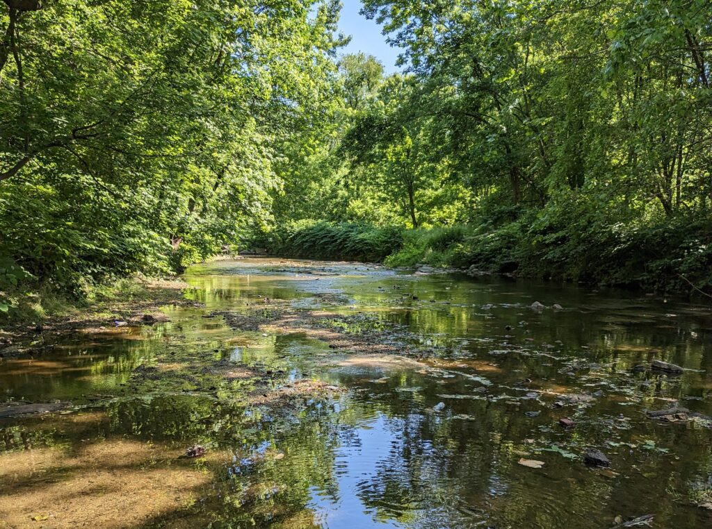 Cobbs Creek, Philadelphia, Pennsylvania | Matt Stanley
