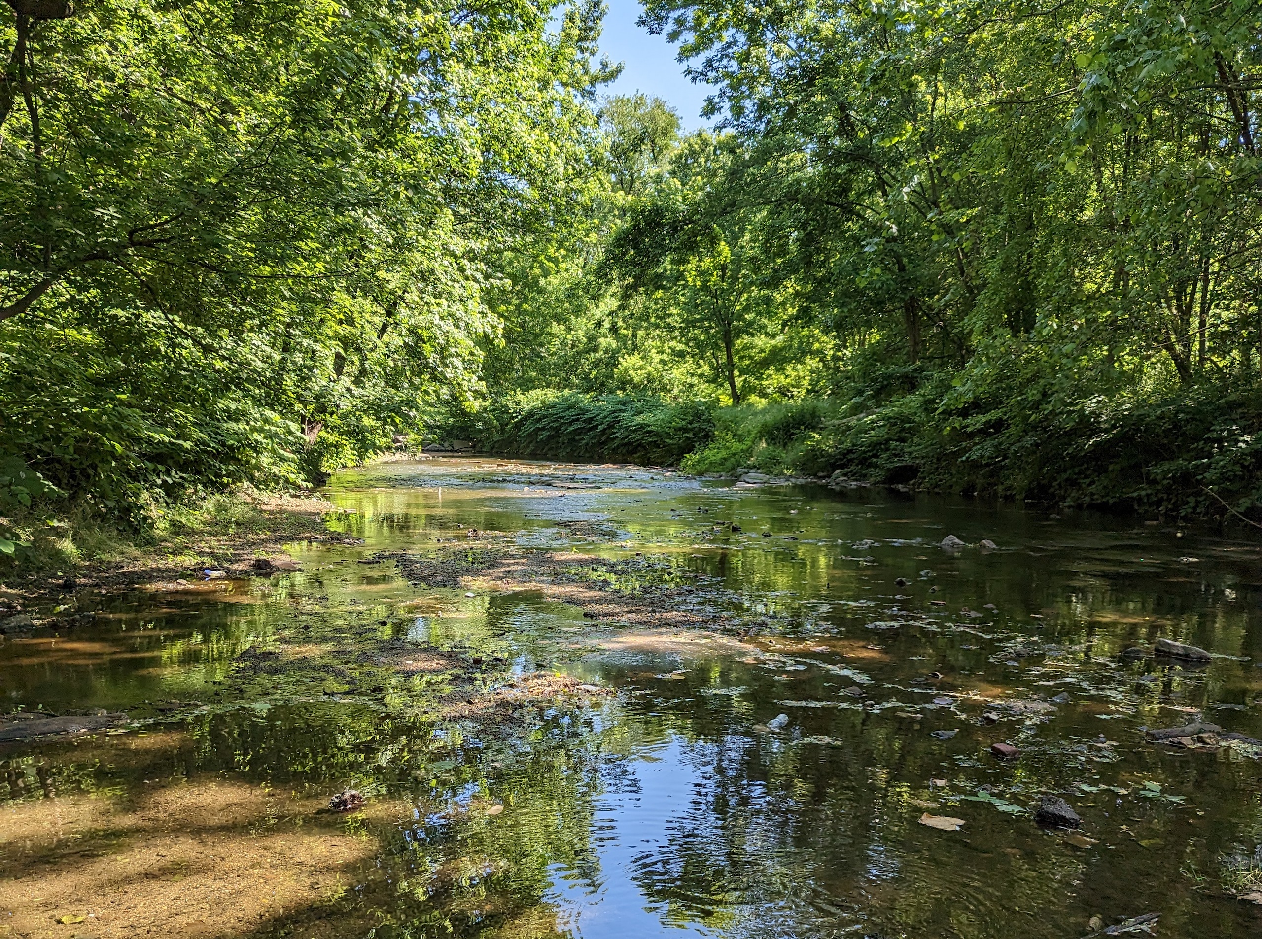 Cobbs Creek, Philadelphia, Pennsylvania | Matt Stanley