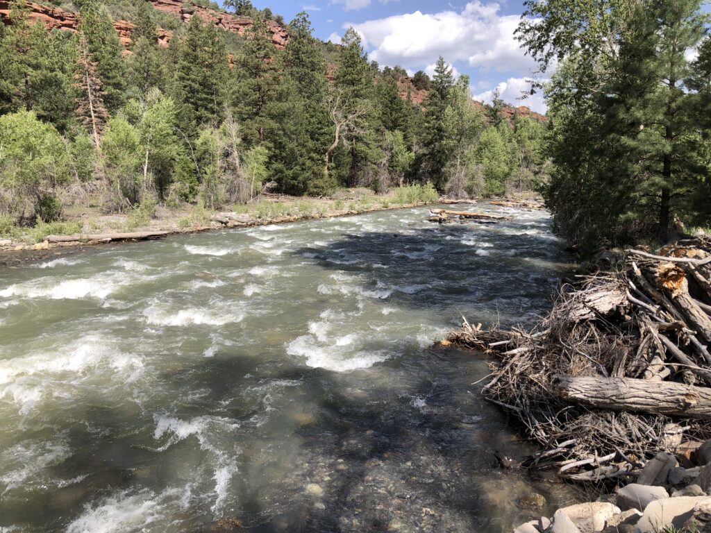 Uncompahgre River, Colorado | Hannah Holm
