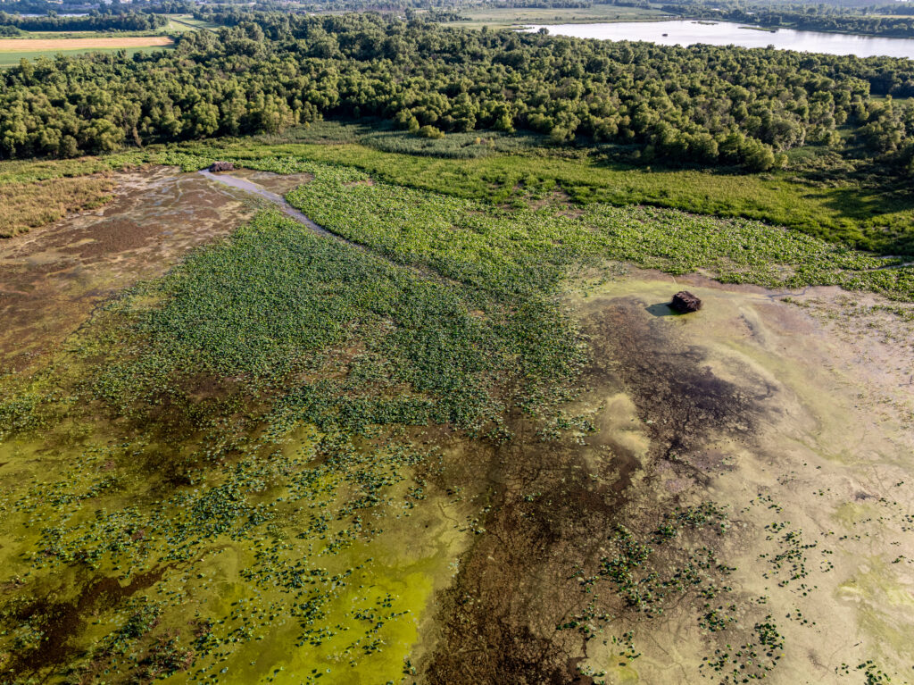 Horseshoe Lake State Fish and Wildlife Area | Mitch Paine Photography