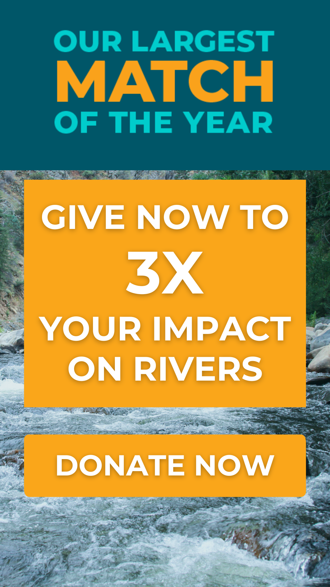 End of Year Match: donate today to have your gift matched 3x.