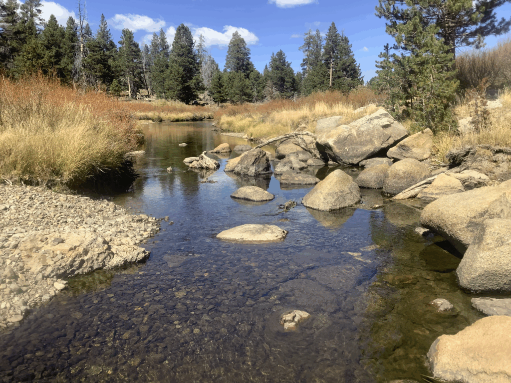 Carson River, California | Trout Unlimited