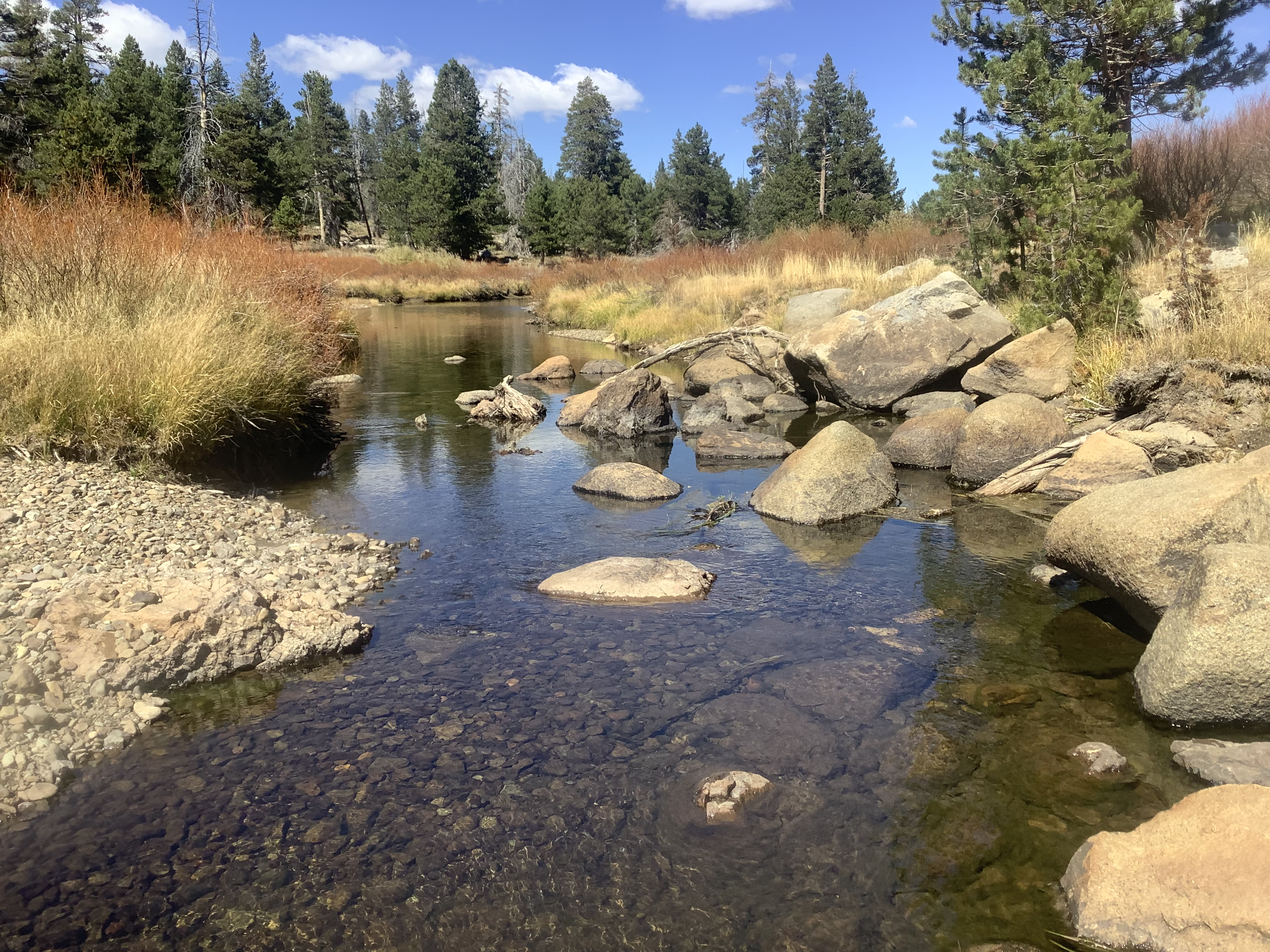 Carson River, California | Trout Unlimited