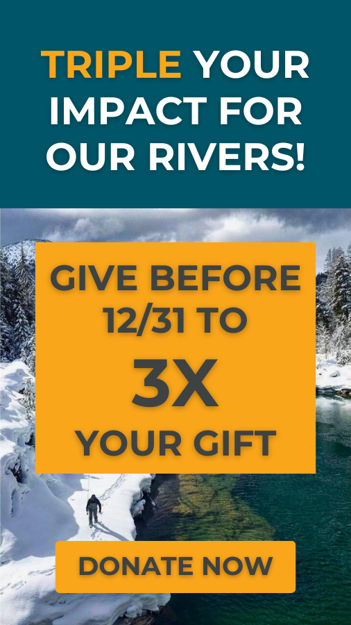 Give now to triple your impact on our rivers.