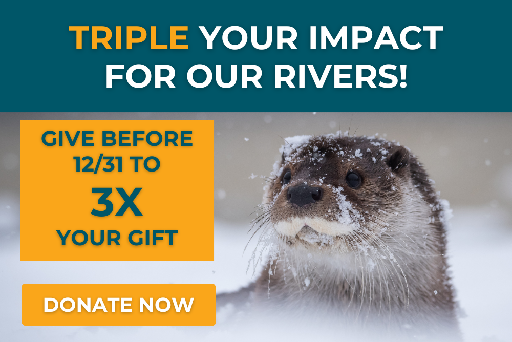 Our Largest Match of the Year: give today to have your gift matched 3X