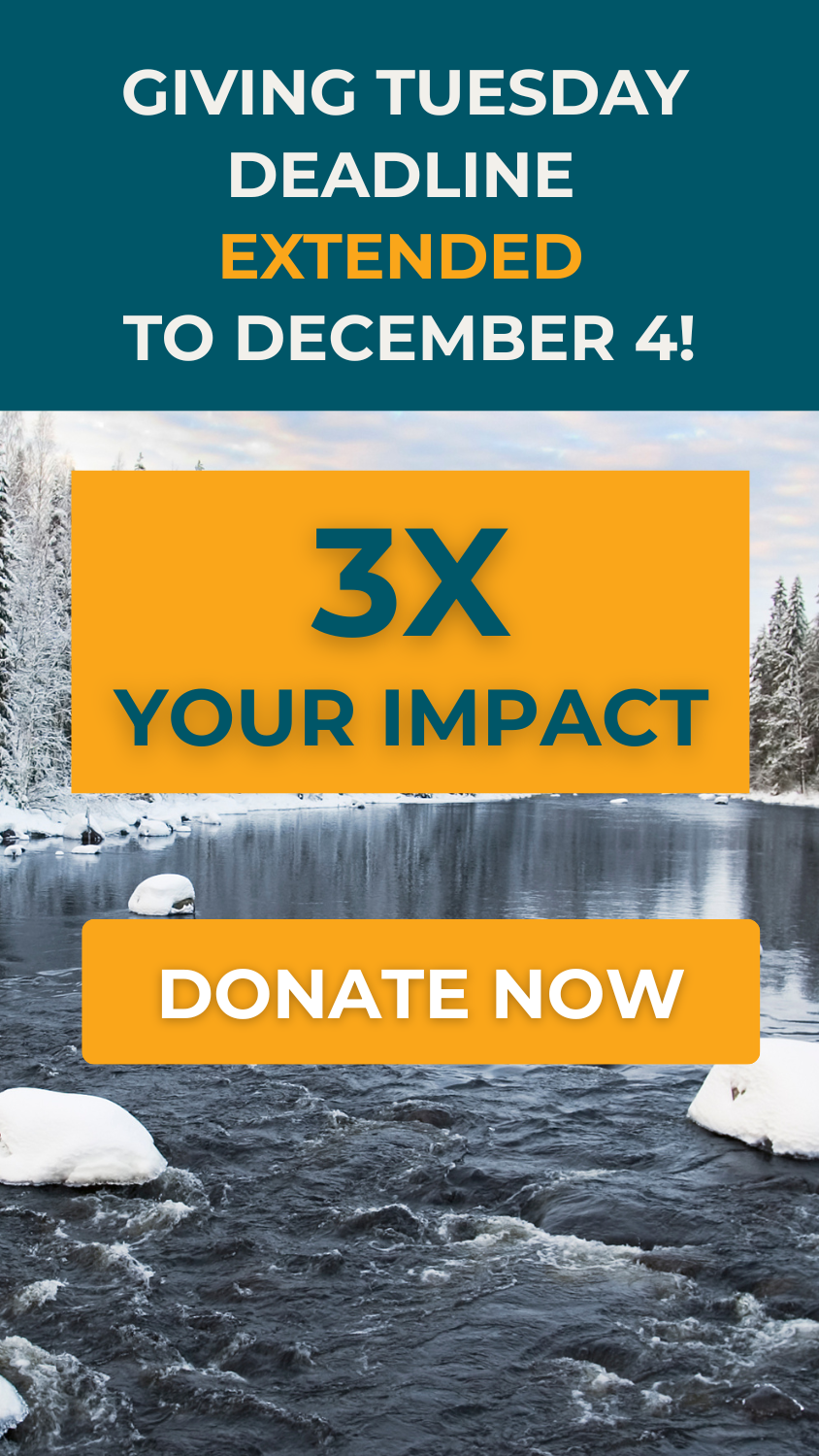 Giving Tuesday Deadline Extended to December 4! Give now to 3X your impact.