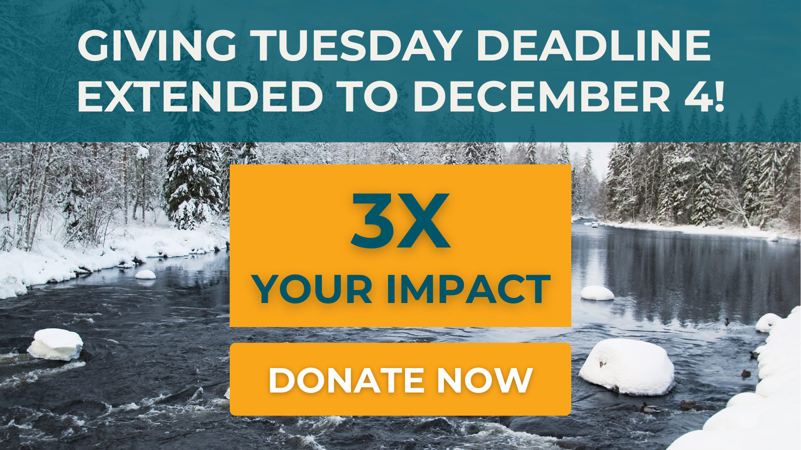 Giving Tuesday Deadline Extended to December 4! Give now to 3X your impact.