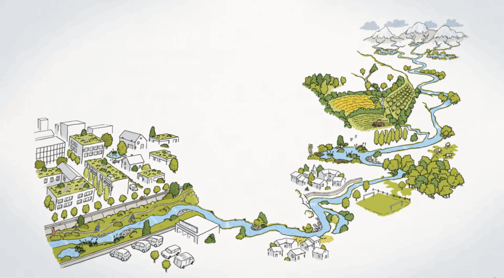 A New Type of River Management video Thumbnail | Rhone Mediterranean Corsica water Agency