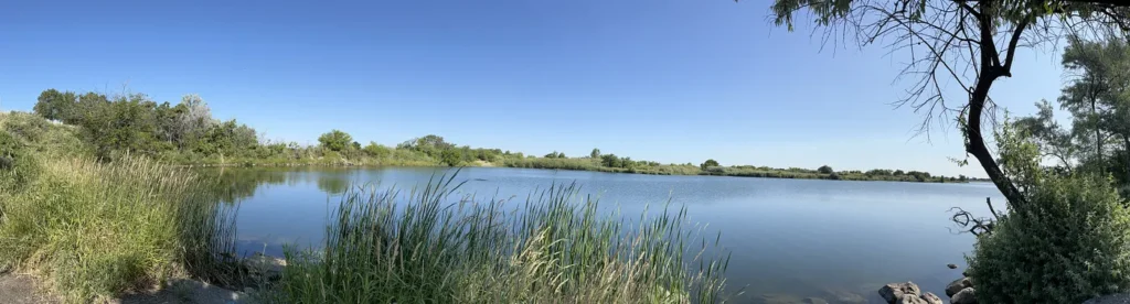 Bateman Island causeway facing west | WDFW