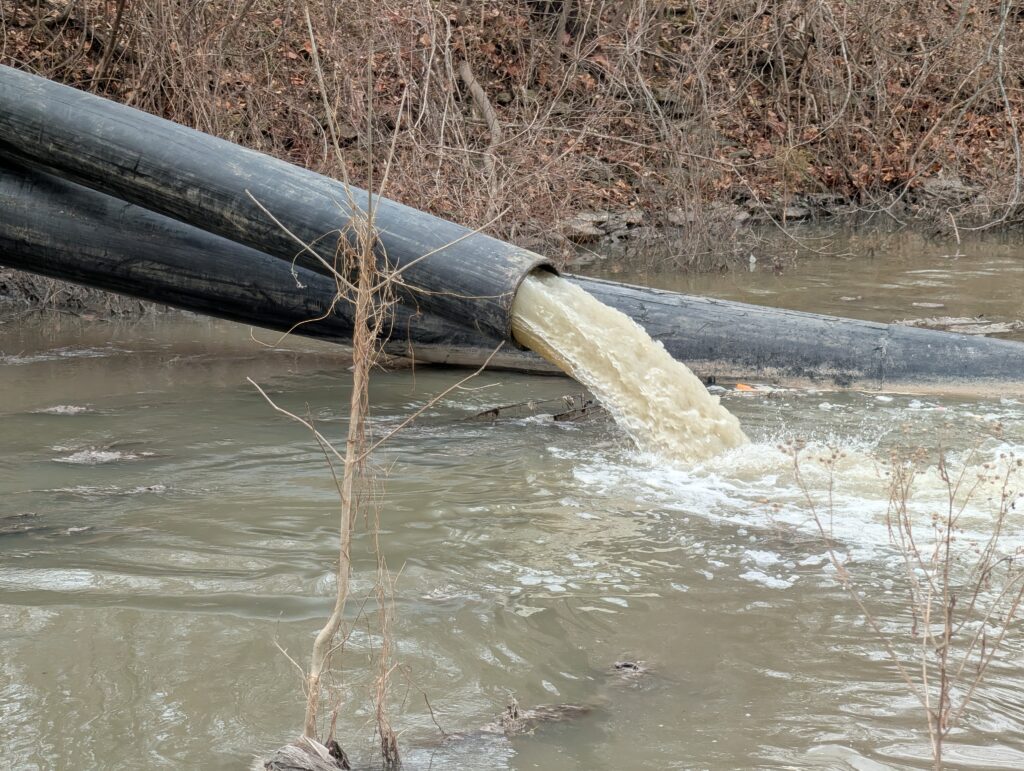 Potomac River, Virginia GaryBelan