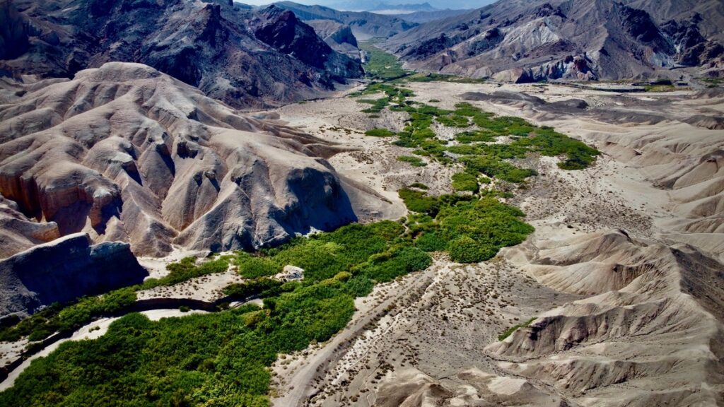 Amargosa RIver, California | Patrick Donnelly