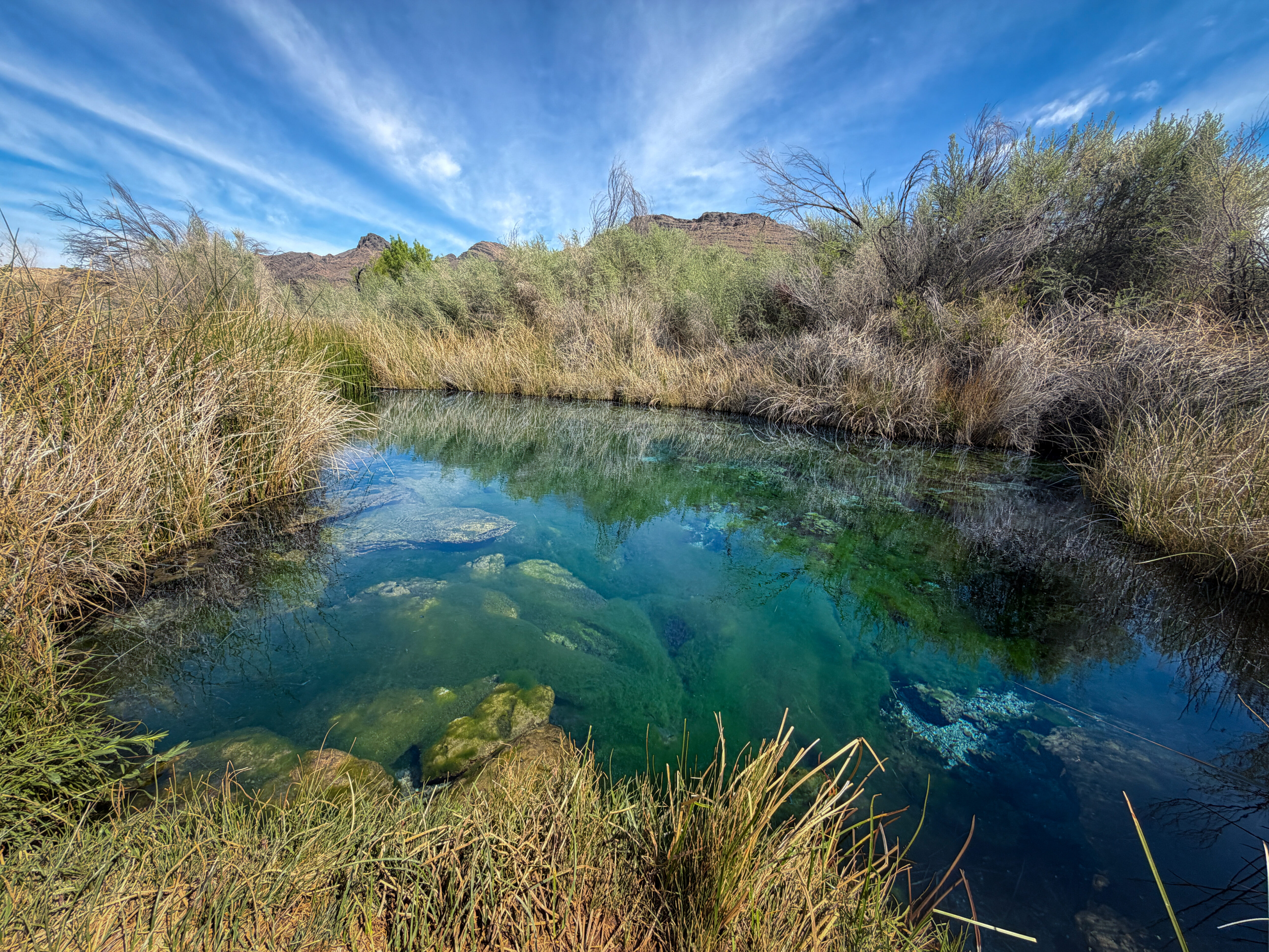 Amargosa River, Nevada | Mason Voehl