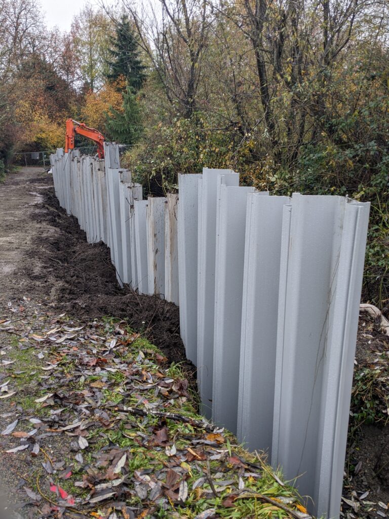 Vinyl pilings are installed underground to form a groundwater block to rehydrate the Roxhill Bog | Neina Chapa