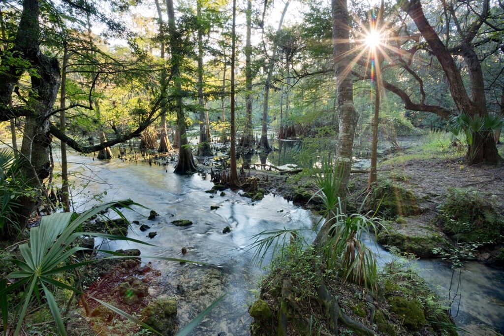 Suwannee River at Florida Springs, Florida | John Moran
