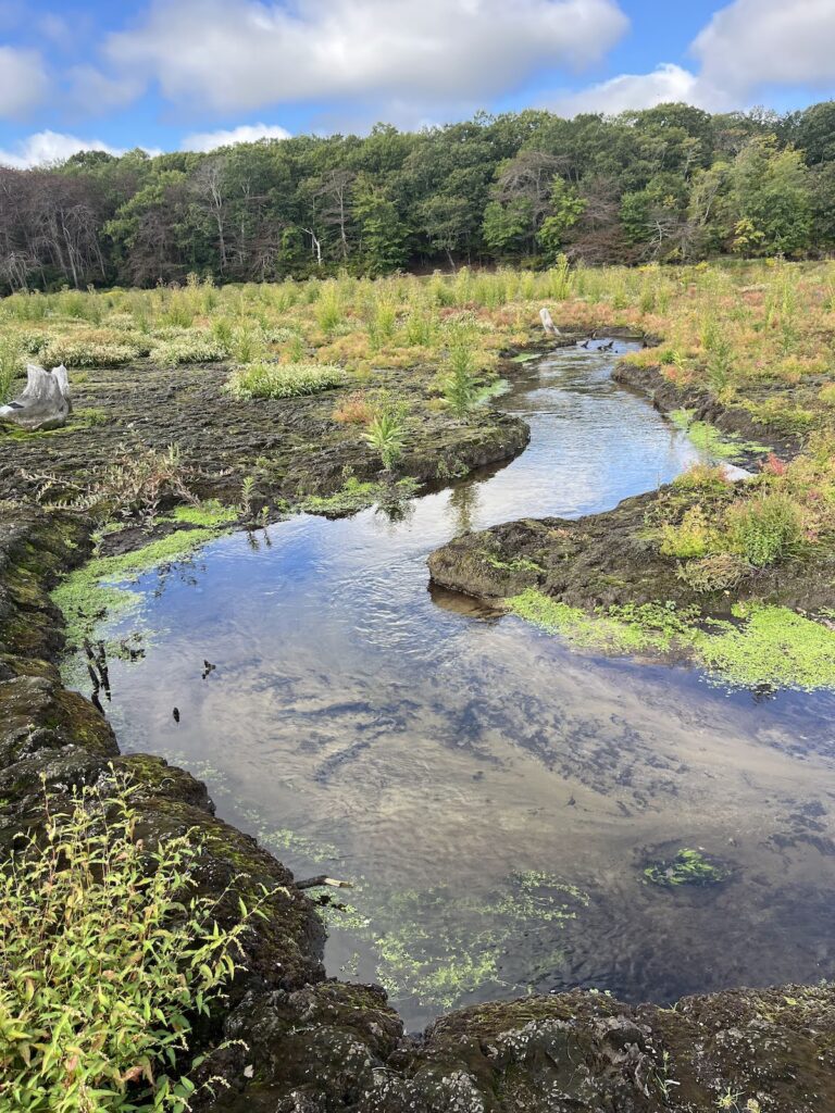 Nissequogue River, New York | Seatuck Environmental Association