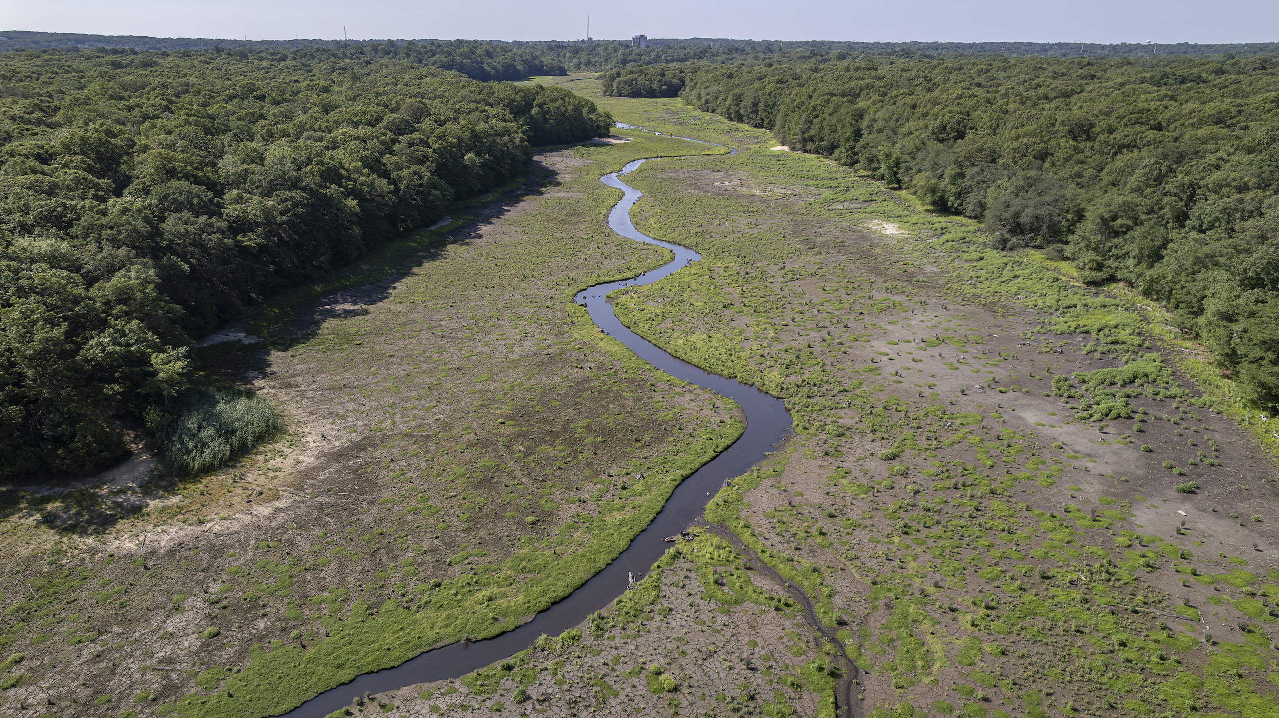 Nissequogue River, New York | Stephen Borghardt