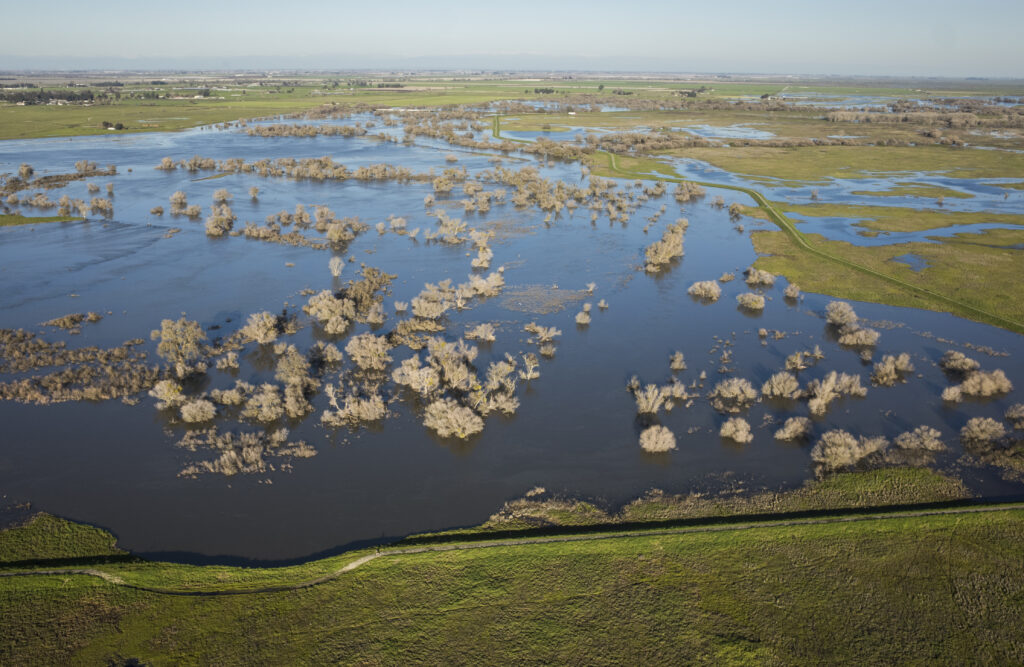 San Joaquin River, California | Daniel Nylen