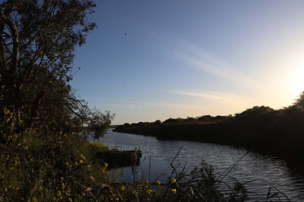 Paths along the reserve sit right at the edge of the wetland where campus meets open space | Bella Astin