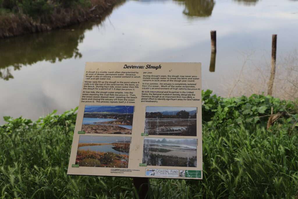 A sign at the edge of the slough offers a glimpse into the seasonal changes and habitats that define the landscape | Bella Astin 