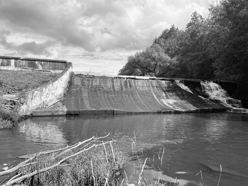 Lake Jefferson Dam, East Branch Callicoon Creek, New York | Katie Schmidt