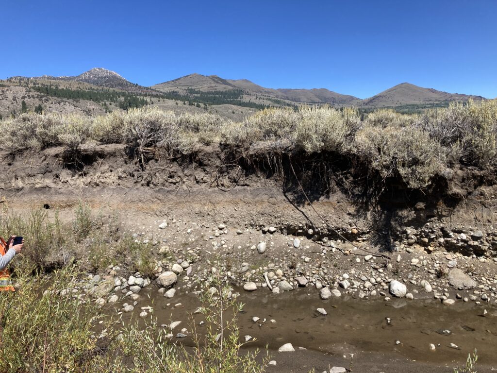 Channel incision along the West Walker River at Pickel Meadow, California | American Rivers