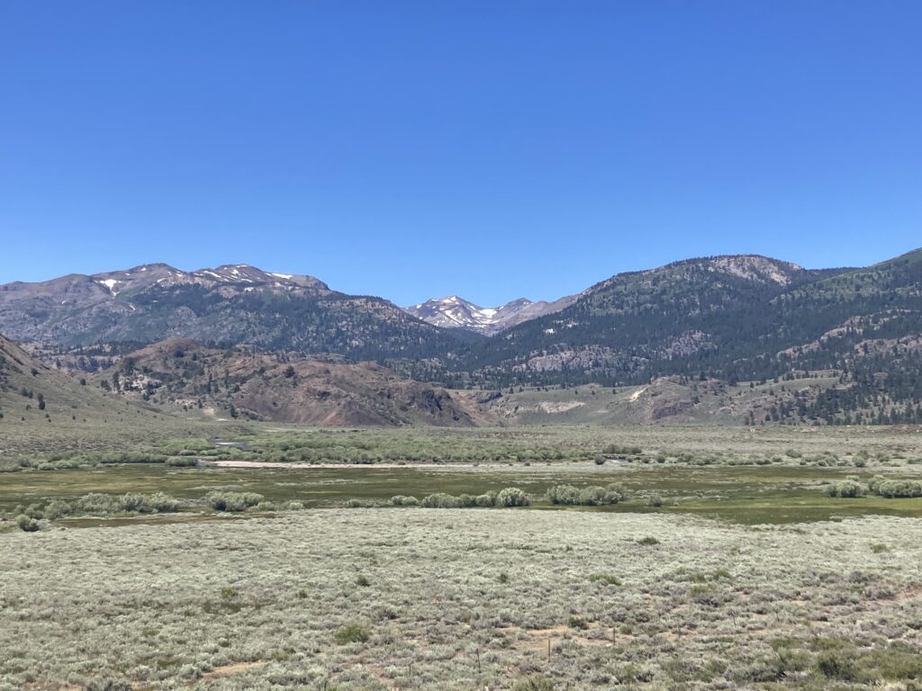 A view of Pickel Meadow in California’s Sierra Nevada, California | Sarah Hecocks