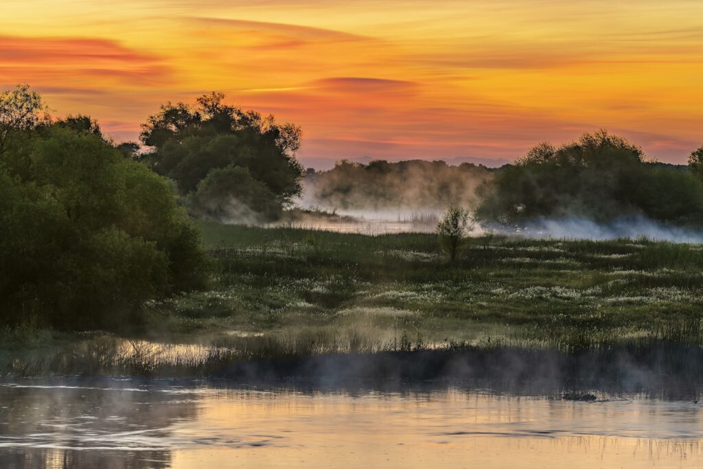 San Joaquin River, California | Sunrise Over the East Floodplain Channel Reconnection, San Joaquin River, California | Brian Baer, © 2026, California State Parks