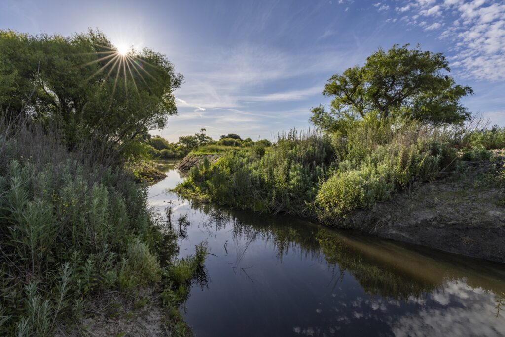 Sunrise Over the East Floodplain Channel Reconnection, San Joaquin River, California | Brian Baer, © 2026, California State Parks