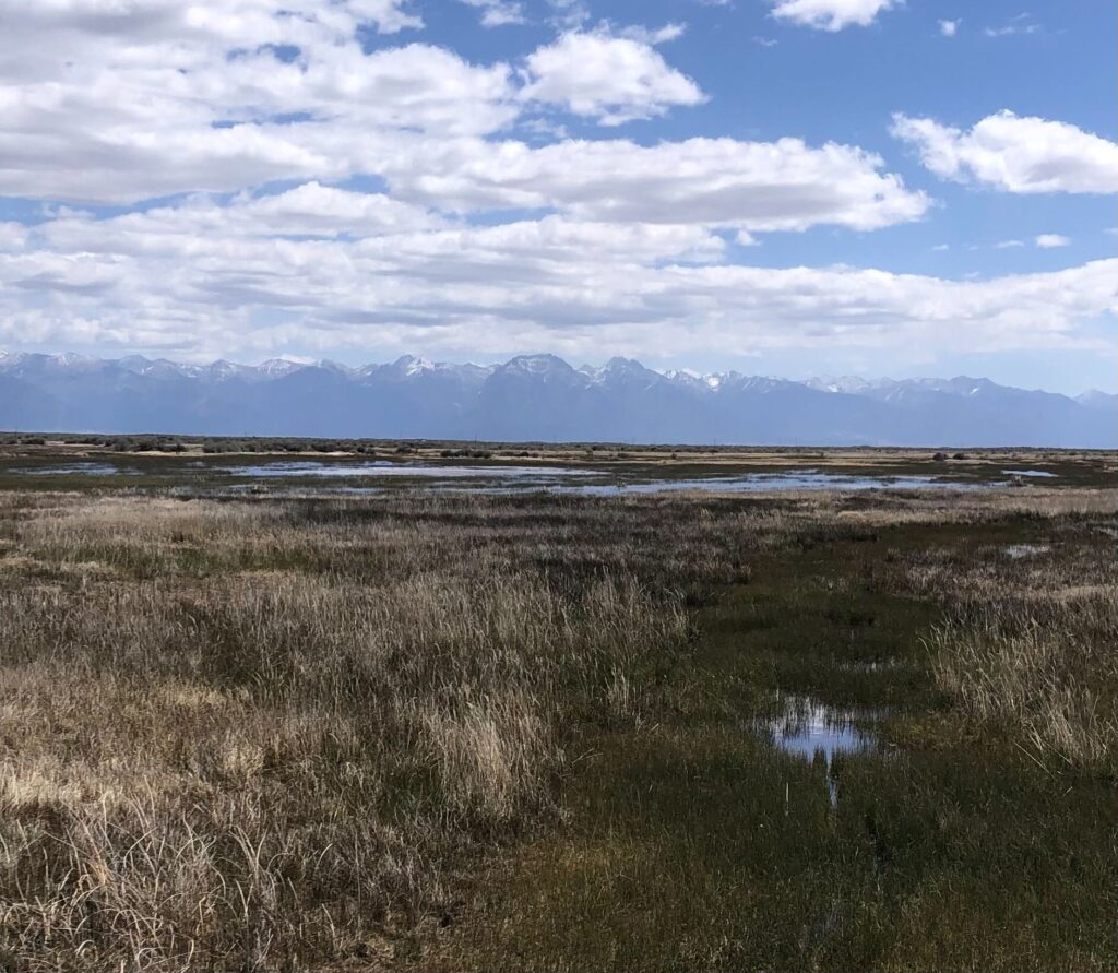 San Luis Valley, Colorado | Hannah Holm