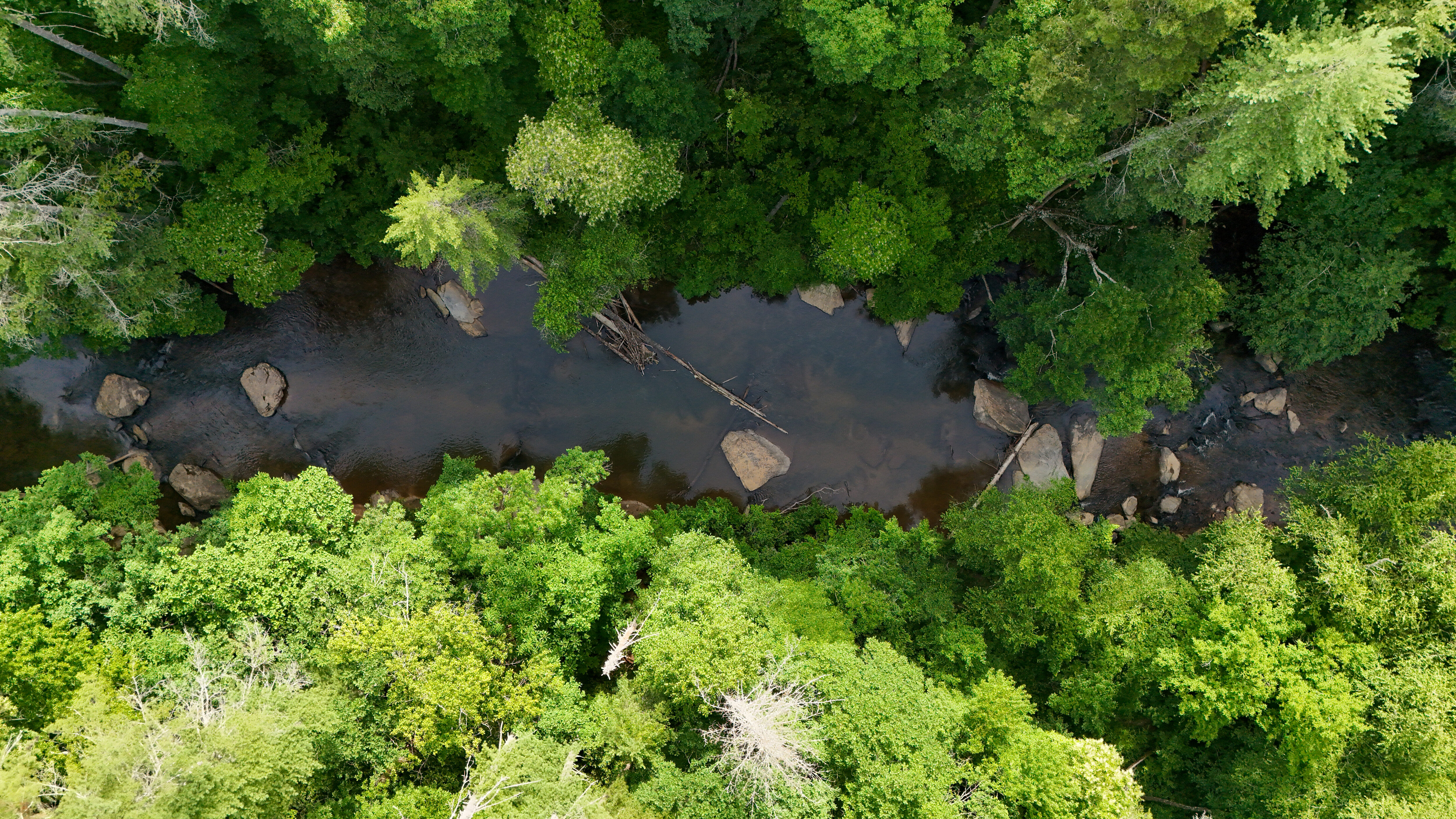 Chauga River, South Carolina | Chad Hoffman