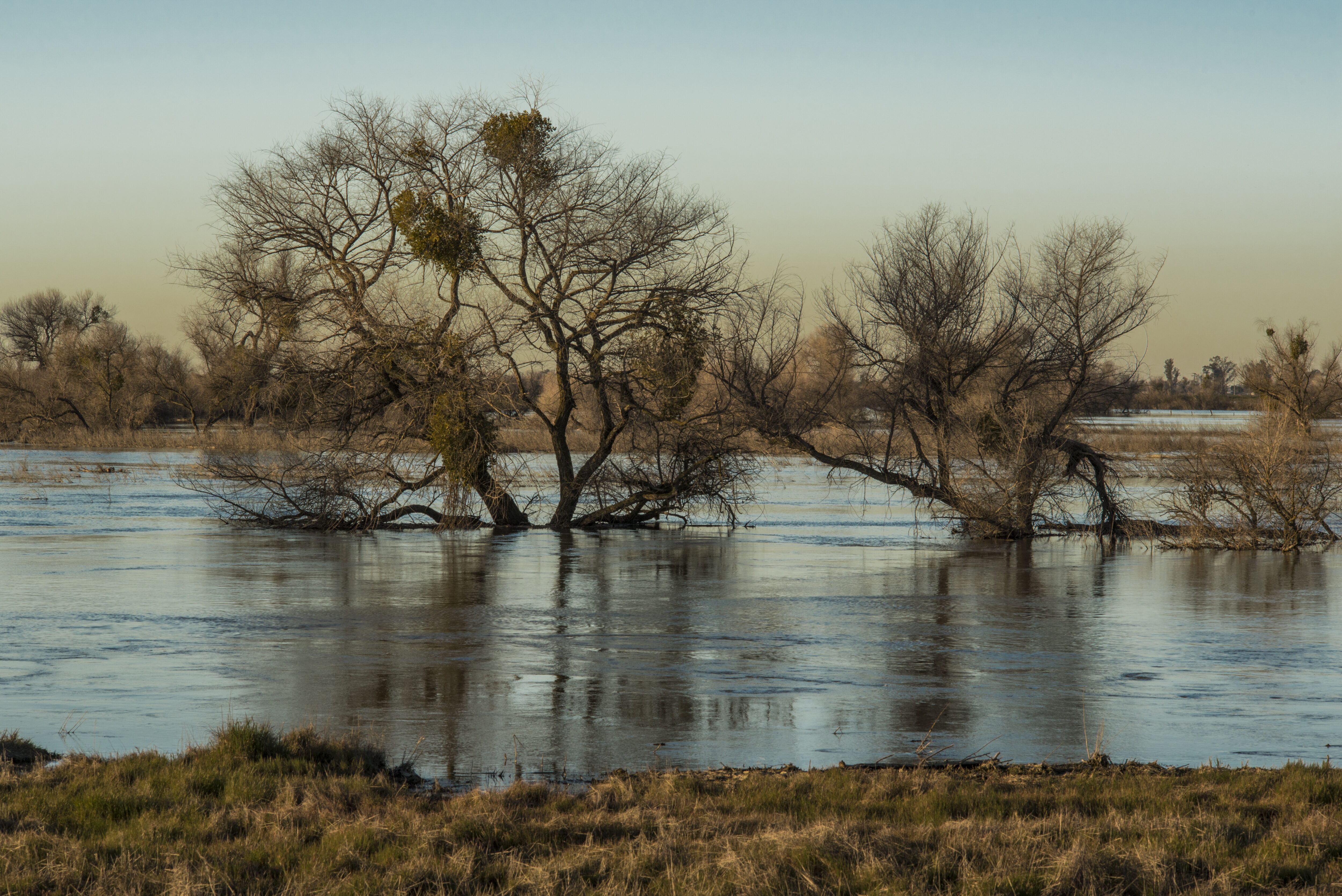 San Joaquin River floodplains, California | Daniel Nylen