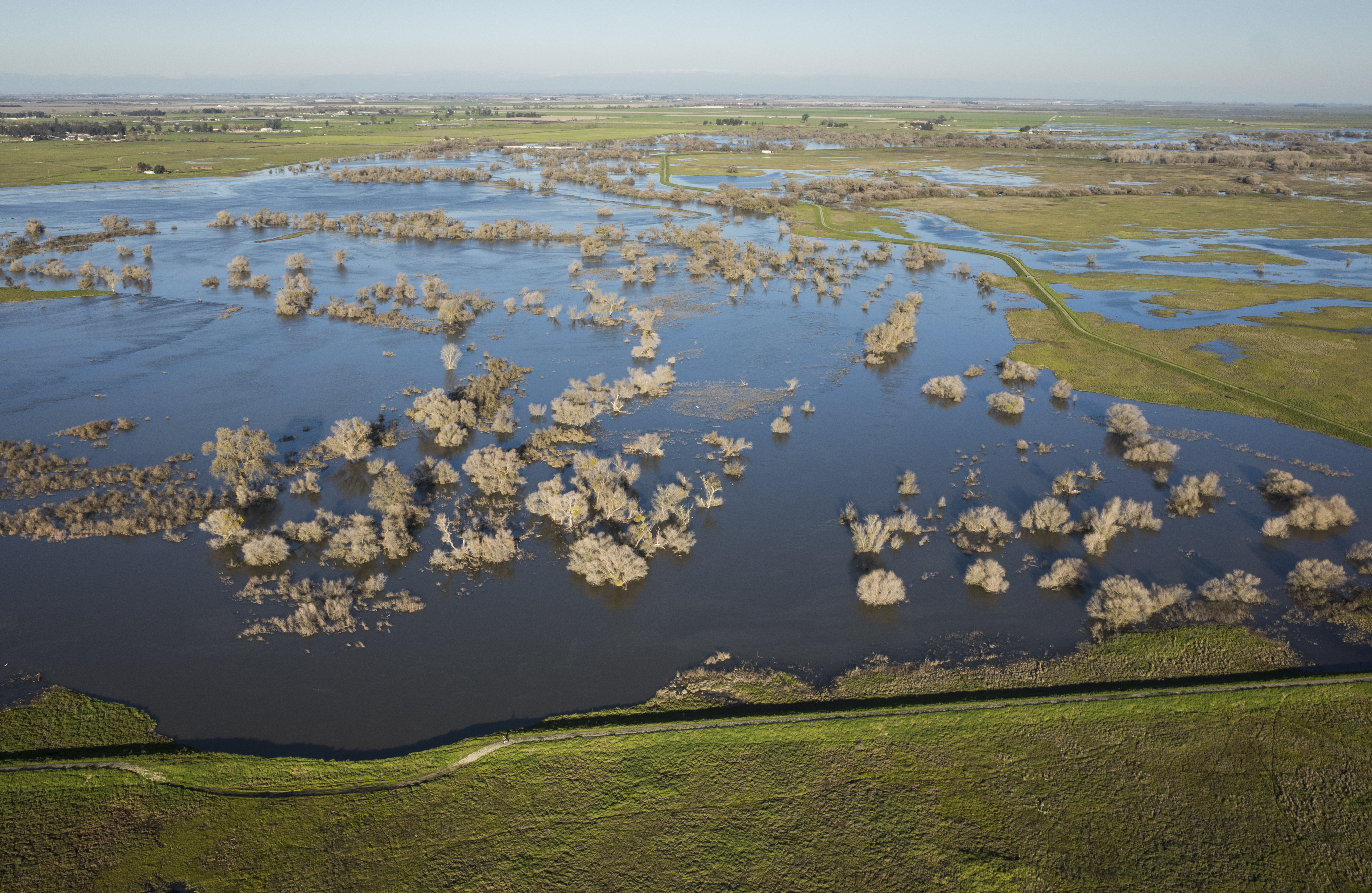 San Joaquin River floodplains, California | Daniel Nylen