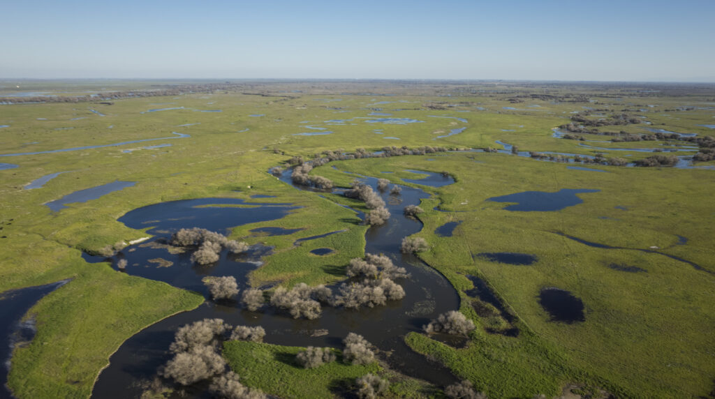 San Joaquin River floodplains, California | Daniel Nylen