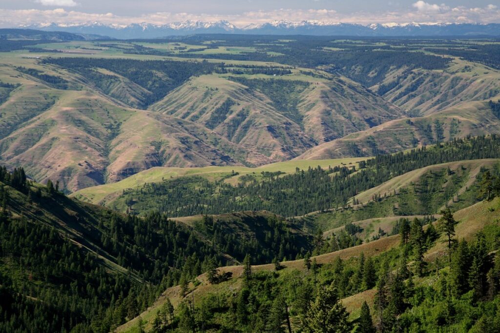 Grande Ronde River in Umatilla National Forest | USDA Forest Service