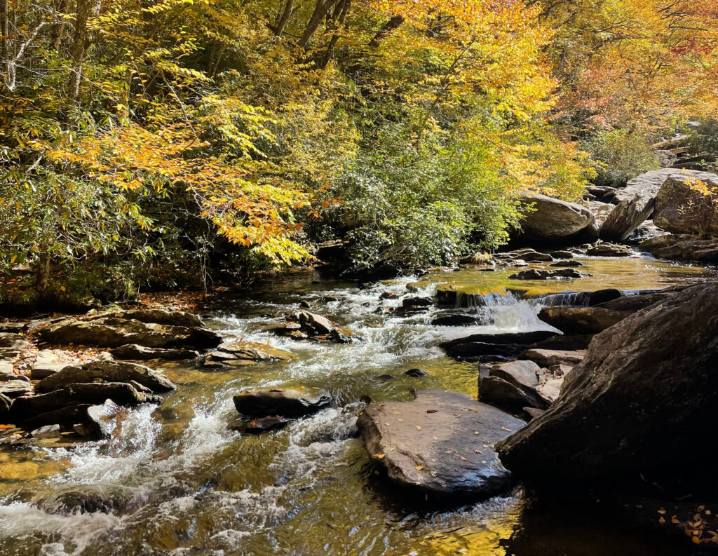 Boone's Fork, North Carolina | Steve White